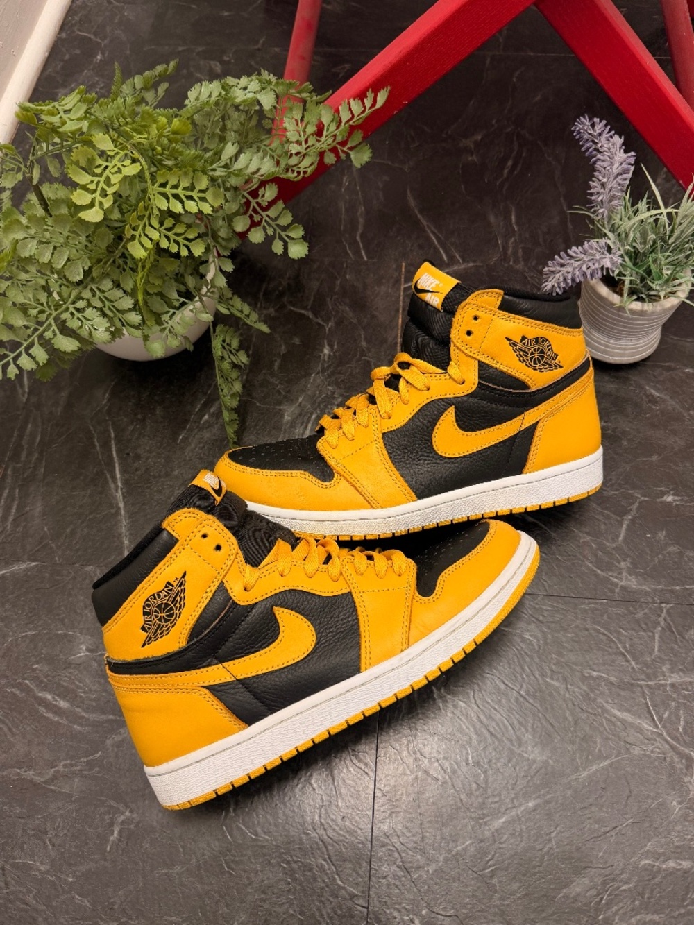 Jordan - 1 High OG Pollen - Yellow/Black - 8M
